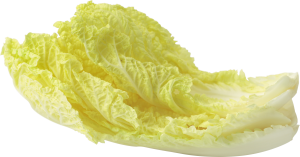 Salad leaf PNG image-2810